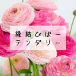 香川県高松市　縁結びばーテンダリー